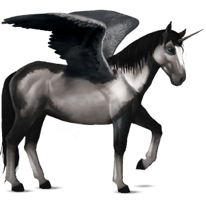 licorne de selle ailée nokota pie overo noir