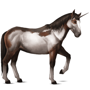 licorne de selle paso péruvien alezan