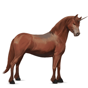 poney licorne shetland alezan