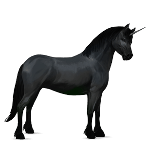 poney licorne pottok noir