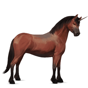 poney licorne français de selle alezan