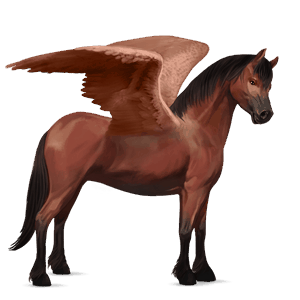 poney pégase quarter pony gris clair