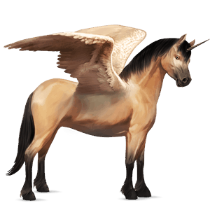 poney licorne ailé pottok bai brûlé