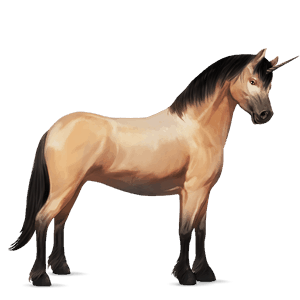 licorne de selle misaki bai brûlé