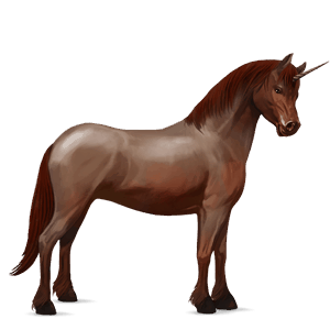 poney licorne kerry bog palomino