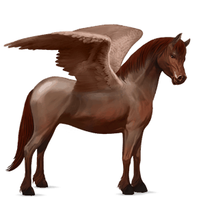 poney pégase shetland alezan