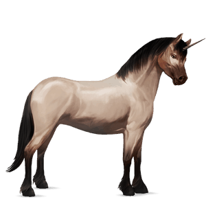 poney licorne highland pony gris pommelé