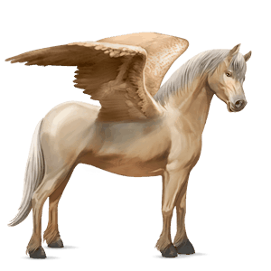 poney pégase quarter pony palomino
