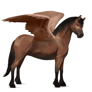 poney pégase welsh bai