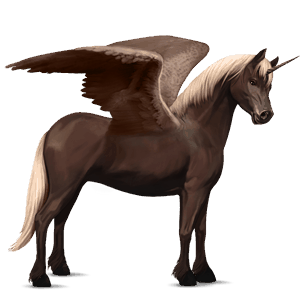 poney licorne ailé quarter pony gris souris