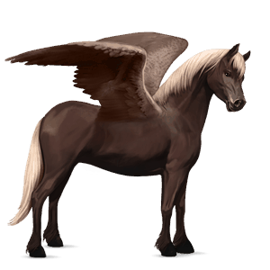 poney pégase highland pony isabelle