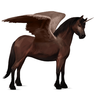 poney licorne ailé poney de selle belge bai brûlé