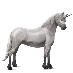 poney licorne quarter pony gris clair