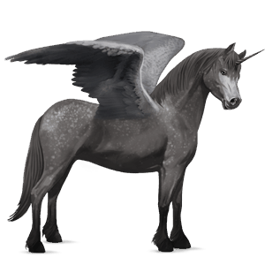poney licorne ailé français de selle gris pommelé