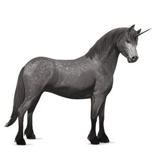 poney licorne pottok gris pommelé