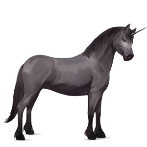 poney licorne new forest gris souris