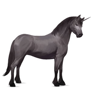 poney licorne gris souris