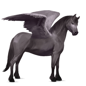 poney pégase poney de terre-neuve alezan