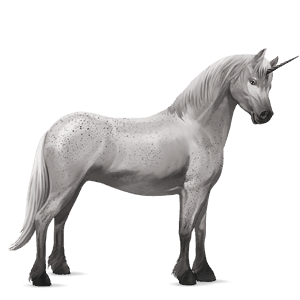 poney licorne poney de selle belge gris truité