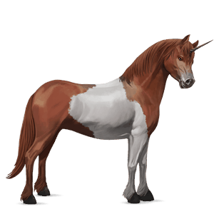 poney licorne kerry bog pie tobiano alezan