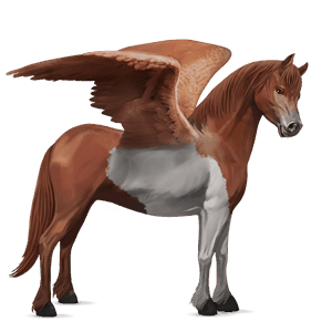 poney pégase quarter pony bai