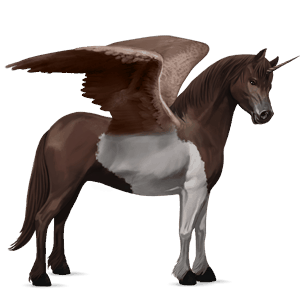 poney licorne ailé poney de selle belge gris pommelé