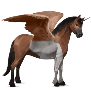 poney licorne ailé quarter pony pie tobiano bai