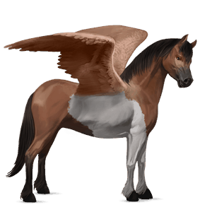 poney pégase shetland alezan
