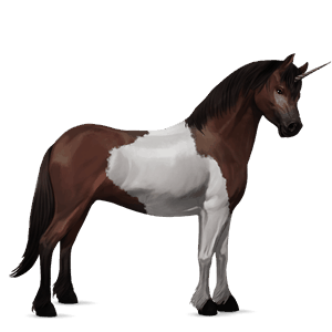 poney licorne pottok bai