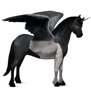 poney licorne ailé poney de terre-neuve gris pommelé