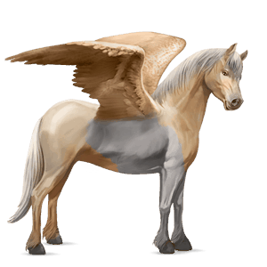 poney pégase quarter pony pie tobiano palomino