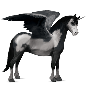 poney licorne ailé shetland gris souris