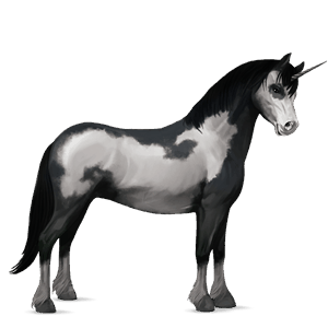 poney licorne français de selle pie overo noir