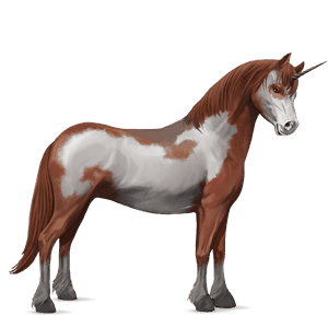 poney licorne shetland pie tobiano bai