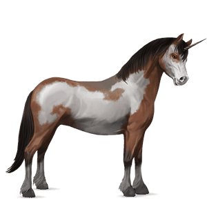 poney licorne fjord brunblakk