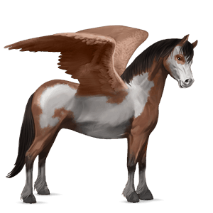 poney pégase pottok bai brûlé