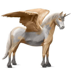 poney licorne ailé shetland pie noir tobiano