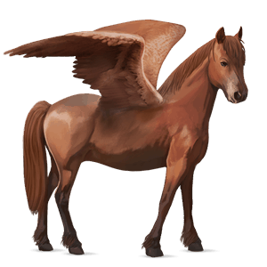poney pégase quarter pony alezan