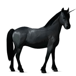poney licorne pottok noir