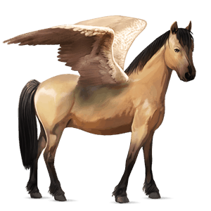 poney pégase shetland bai
