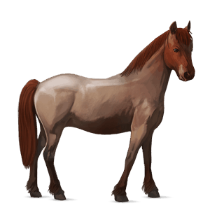 poney quarter pony alezan