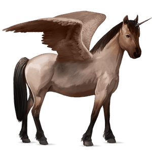 poney licorne ailé kerry bog noir