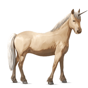 poney licorne pottok alezan brûlé
