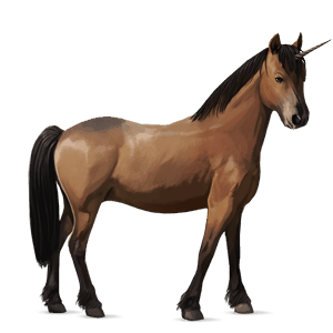 poney licorne dartmoor bai