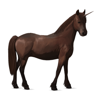 poney licorne new forest alezan brûlé