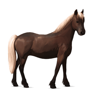 poney quarter pony alezan brûlé crins lavés