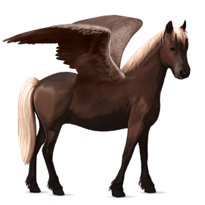 poney pégase shetland pie tobiano alezan brûlé