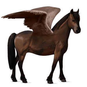 poney pégase kerry bog bai