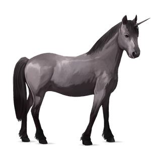poney licorne poney de selle belge gris souris