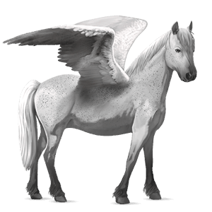 poney pégase welsh alezan brûlé